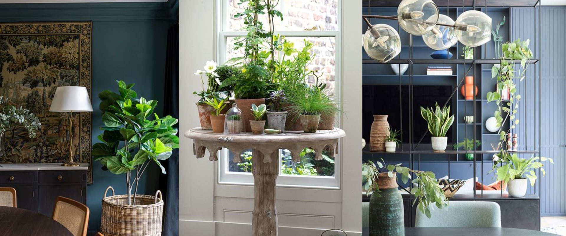 Incorporating Plants into Your Bar Decor: Tips from an Expert
