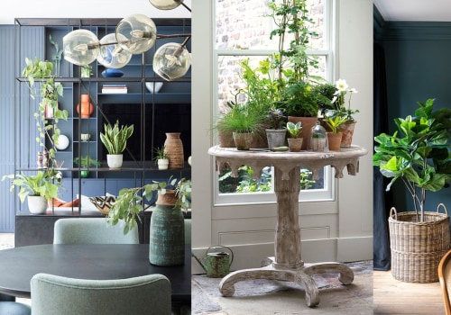Incorporating Plants into Your Bar Decor: Tips from an Expert